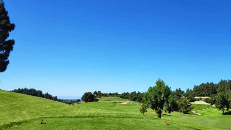 hoyo-14-tee-nuevo-retocado-scaled