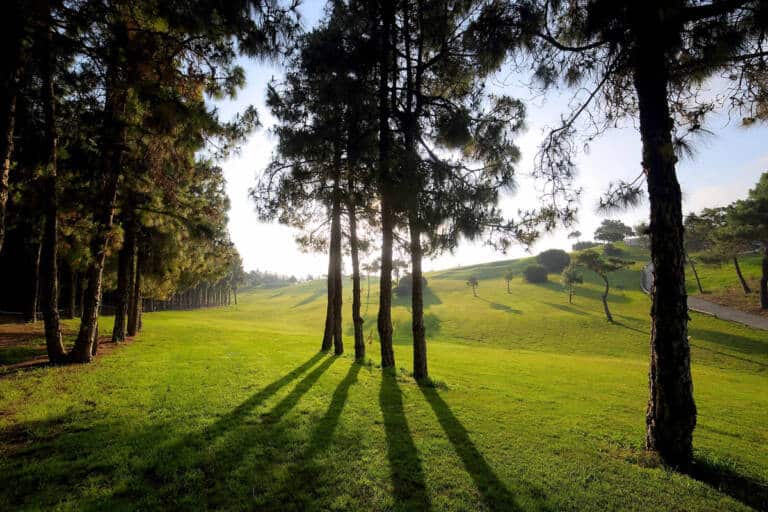 hoyo15-el-chaparral-golf-club-4