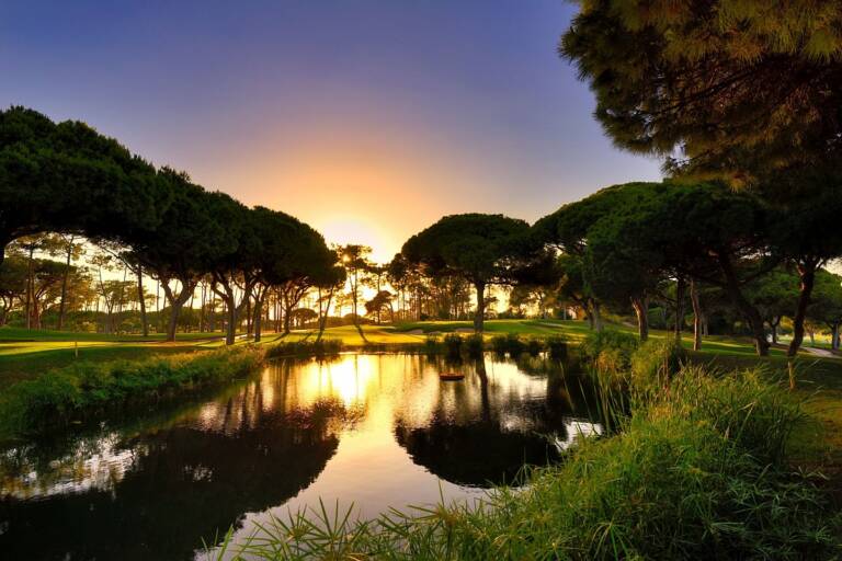 Old Course1