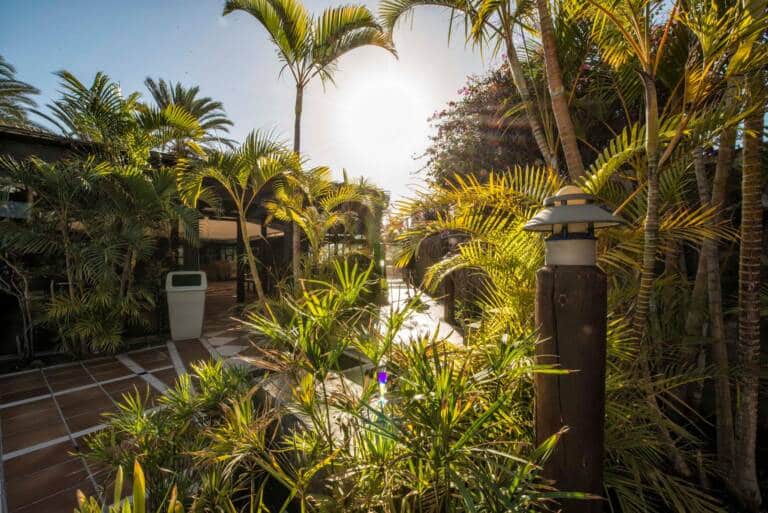 garden images corallium beach by lopesan hotels