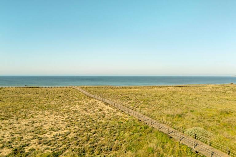 wi-faoaa-scenic-boardwalk-17497_Classic-Hor