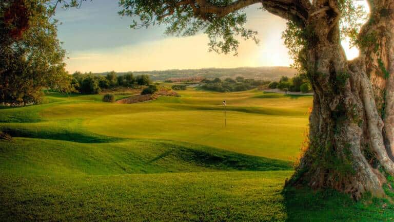 Homepage_01